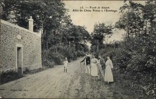 Ak Forêt de Sénart Essonne, Allee du Chene Prieur a l'Ermitage