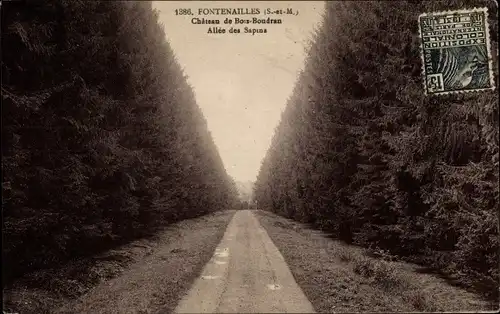 Ak Fontenailles Seine et Marne, Chateau de Bois Boudran, Allee des Sapins