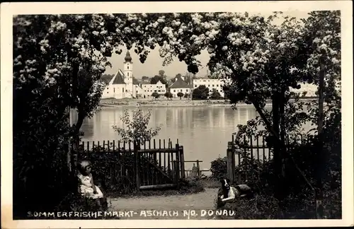 Foto Ak Aschach an der Donau Oberösterreich, Blick zum Ort