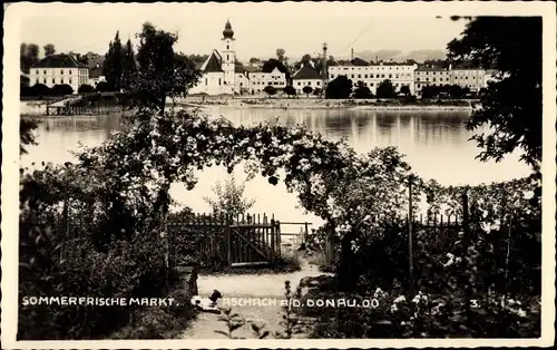 Foto Ak Aschach an der Donau Oberösterreich, Blick auf den Ort von einem Garten aus