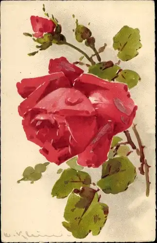 Künstler Ak Klein, Catharina, Rosenzweig mit roter Blüte, Knospe
