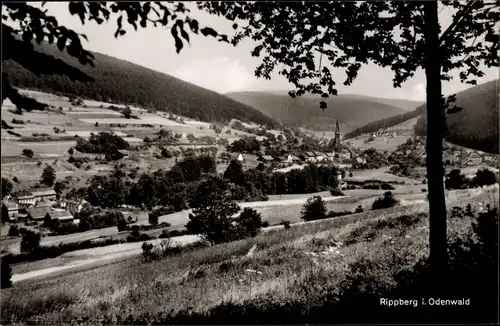 Ak Rippberg Walldürn im Odenwald, Panorama