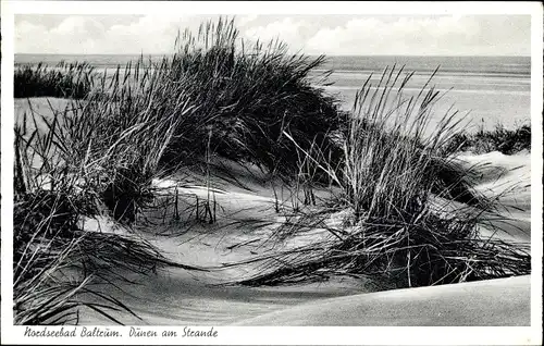 Ak Baltrum, Dünen am Strand