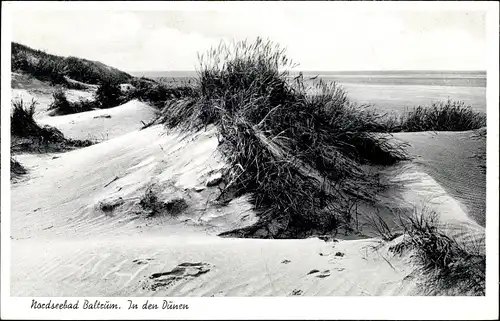 Ak Baltrum, In den Dünen