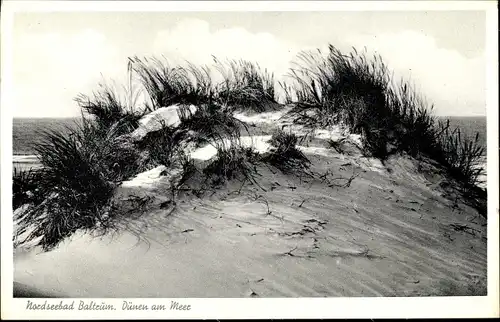 Ak Baltrum, Dünen am Meer