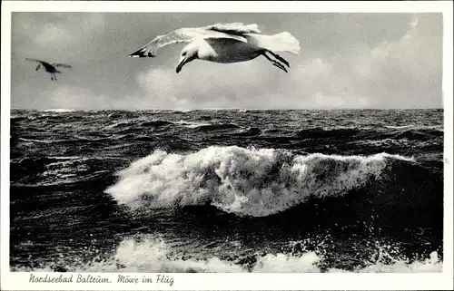 Ak Norderney in Ostfriesland, Möwe im Flug über dem Meer, Brandung