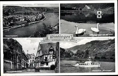 Ak Winningen in Rheinland Pfalz, Wasserbus Winningen, Weinhexenbrunnen, Ortsansicht