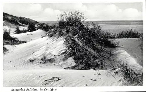 Ak Baltrum, In den Dünen