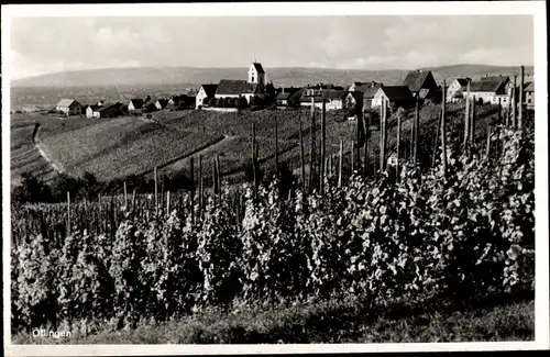 Ak Ötlingen Weil am Rhein, Partie bei den Weinreben mit Ortsblick