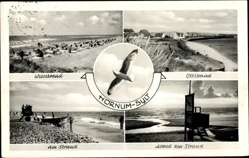 Ak Hörnum in Nordfriesland, Partie am Strand, Möwe