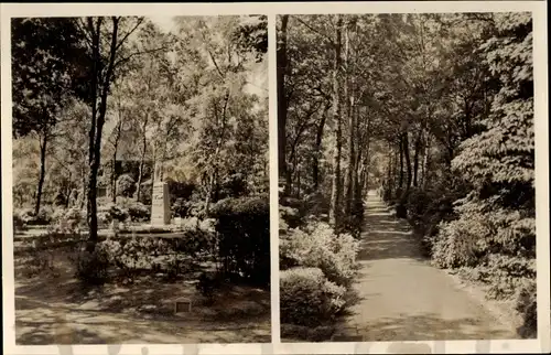 Ak Oer Erkenschwick im Ruhrgebiet, Waldfriedhof