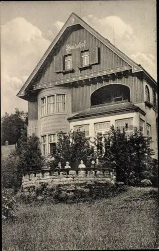 Ak Gohrisch Sächsische Schweiz, Erholungsheim Haidehof