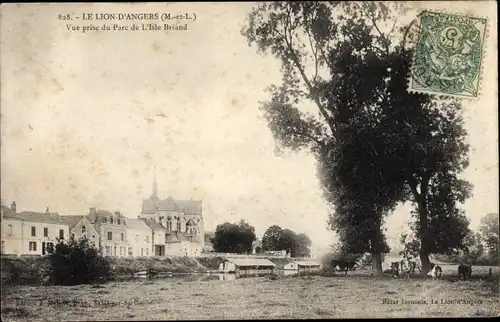 Ak Le Lion d'Angers Maine et Loire, Vue prise du Parc de l'Isle Briand