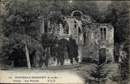 Ak Fontenay Trésigny Seine et Marne, Vivier, Les Ruines