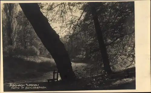 Ak Aschach an der Donau Oberösterreich, Motiv im Schlosspark