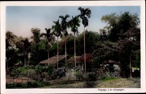 Ak Südvietnam Vietnam, Paysage a la campagne