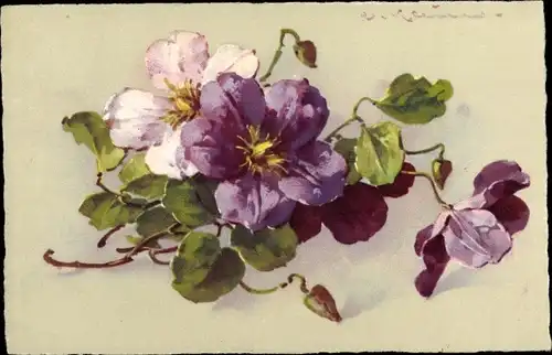 Künstler Ak Klein, C., Violette Blumen, Stillleben
