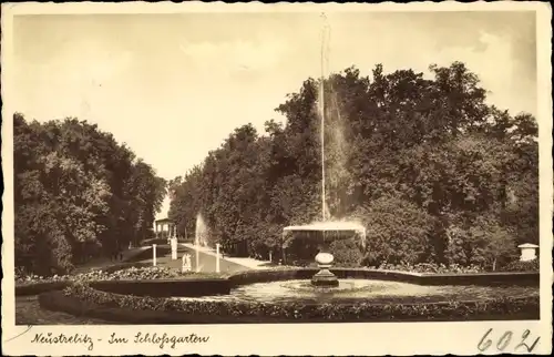 Ak Neustrelitz in Mecklenburg, Im Schloßgarten