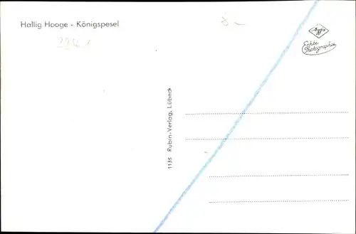 Ak Hallig Hooge in Nordfriesland, Königspesel