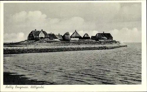 Ak Hallig Langeneß Nordfriesland, Hilligenlei