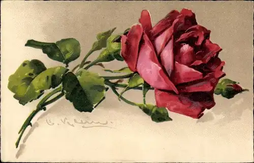 Künstler Ak Klein, Catharina, Rote Rose