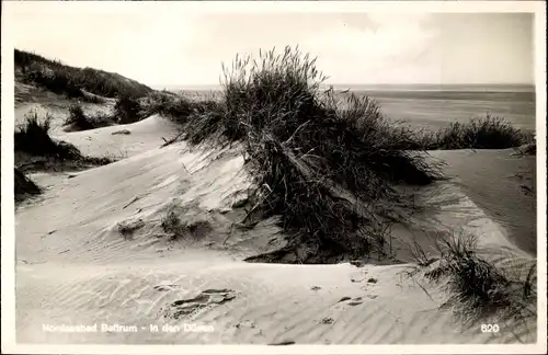Ak Baltrum, In den Dünen