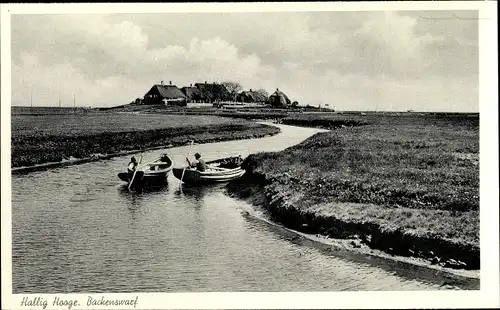 Ak Hallig Hooge in Nordfriesland, Backenswarf
