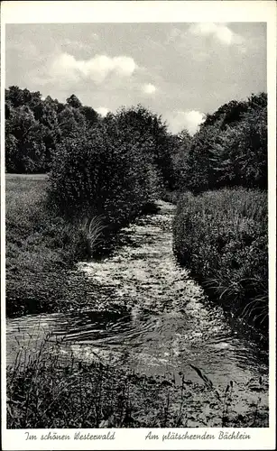 Ak Hartenfels im Westerwald, Plätscherndes Bächlein