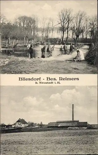 Ak Bliesdorf  Schashagen in Holstein, Teich, Fabrik Reimers