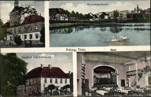 Ak Pölzig in Thüringen, Schloss, Schwanenteich, Gasthof zur Erholung, Saal