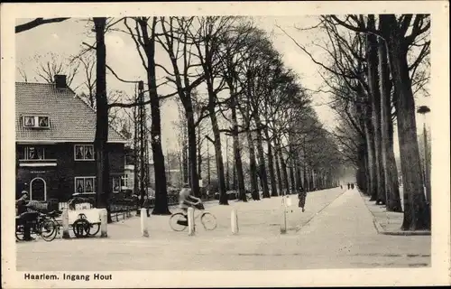 Ak Haarlem Nordholland, Ingang Hout