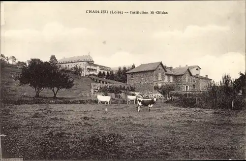 Ak Charlieu Loire, Institution St. Gildas, Kühe