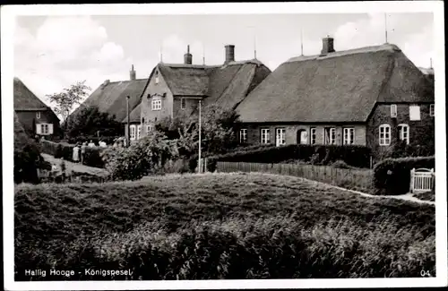 Ak Hallig Hooge, Königspesel, Kinder, Wiesenfläche,Zaun