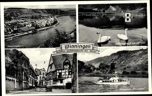 Ak Winningen in Rheinland Pfalz, Wasserbus Winningen, Weinhexenbrunnen, Ortsansicht
