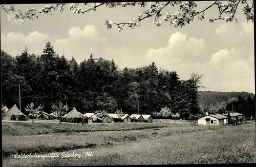 Ak Grünberg in Hessen, Walderholungsstätte