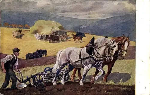 Künstler Ak Meinholds Tierbild Nr. 1a, Arbeitspferd, Bauern bei der Feldarbeit, Pferde ziehen Pflug