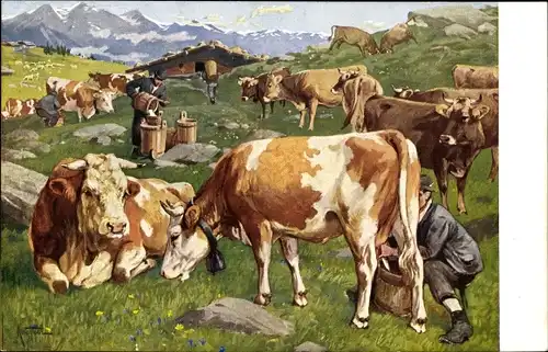 Künstler Ak Wagner, K., Meinholds Tierbild, Kühe auf der Alm, Melker