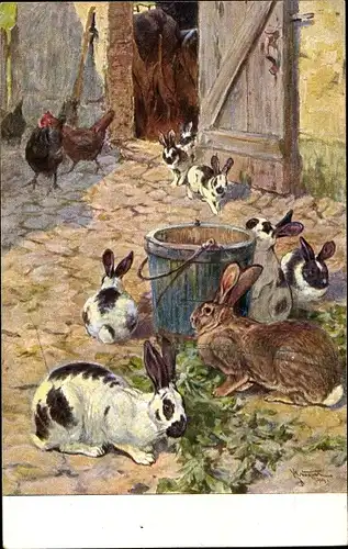 Künstler Ak Meinholds Tierbild Nr. 146, Kaninchen