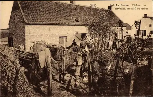 Ak La Panne Westflandern, Pecheur de crevettes, Accueil au retour