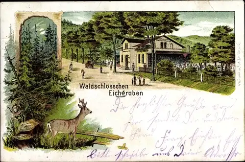 Litho Eichgraben Zittau in der Oberlausitz, Restauration Waldschlösschen, Hirsch