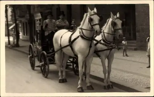 Foto Ak Kutsche mit zwei weißen Pferden, Kutscher