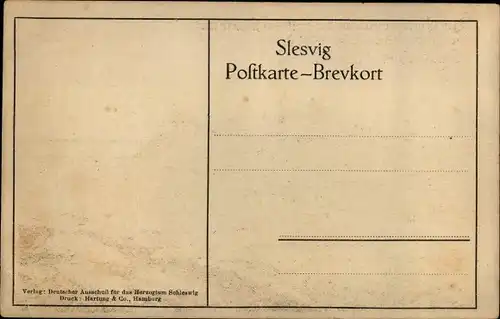 Künstler Ak Zur Erinnerung an die Volksabstimmung im Lande Schleswig 1920, Rüm hart klar kimming