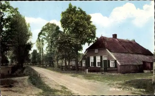 Ak Den Ham Overijssel, Zomerweg, Reetdachhaus