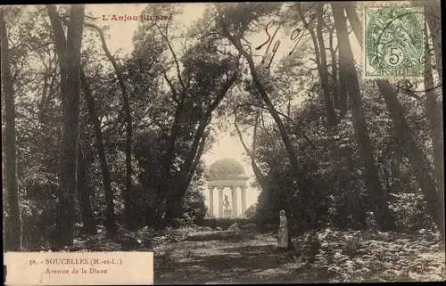 Ak Soucelles Maine et Loire, Avenue de la Diane