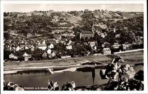 Ak Dieblich an der Mosel, Panorama