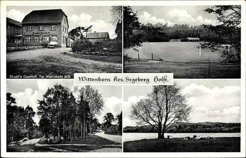 Ak Wittenborn in Schleswig Holstein, Studt's Gasthof, Sportplatz, Uferblick
