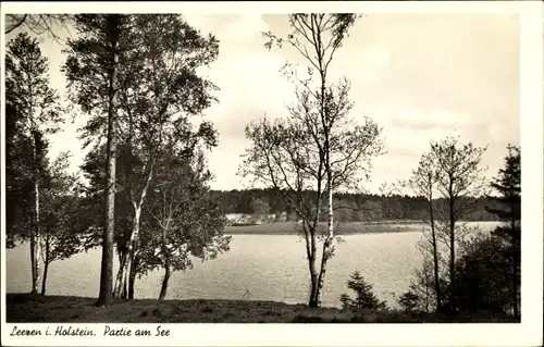Ak Leezen Schleswig Holstein, Seepartie