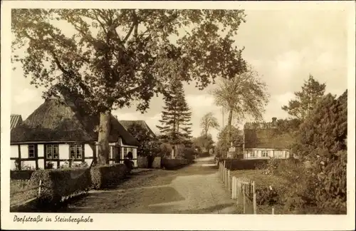 Ak Steinbergholz Steinberg in Schleswig Holstein, Dorfstraße