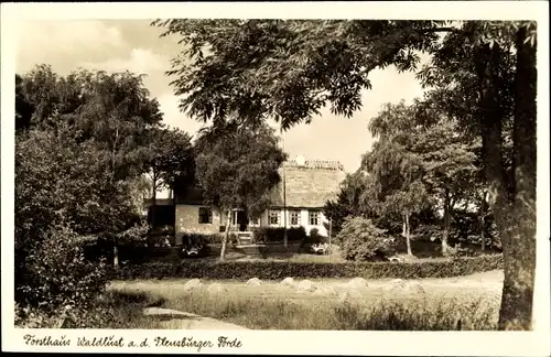 Ak Steinbergkirche in Angeln, Teilansicht vom Forsthaus Waldlust, Flensburger Förde