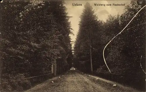 Ak Uelzen in Niedersachsen, Waldweg zum Fischerhof